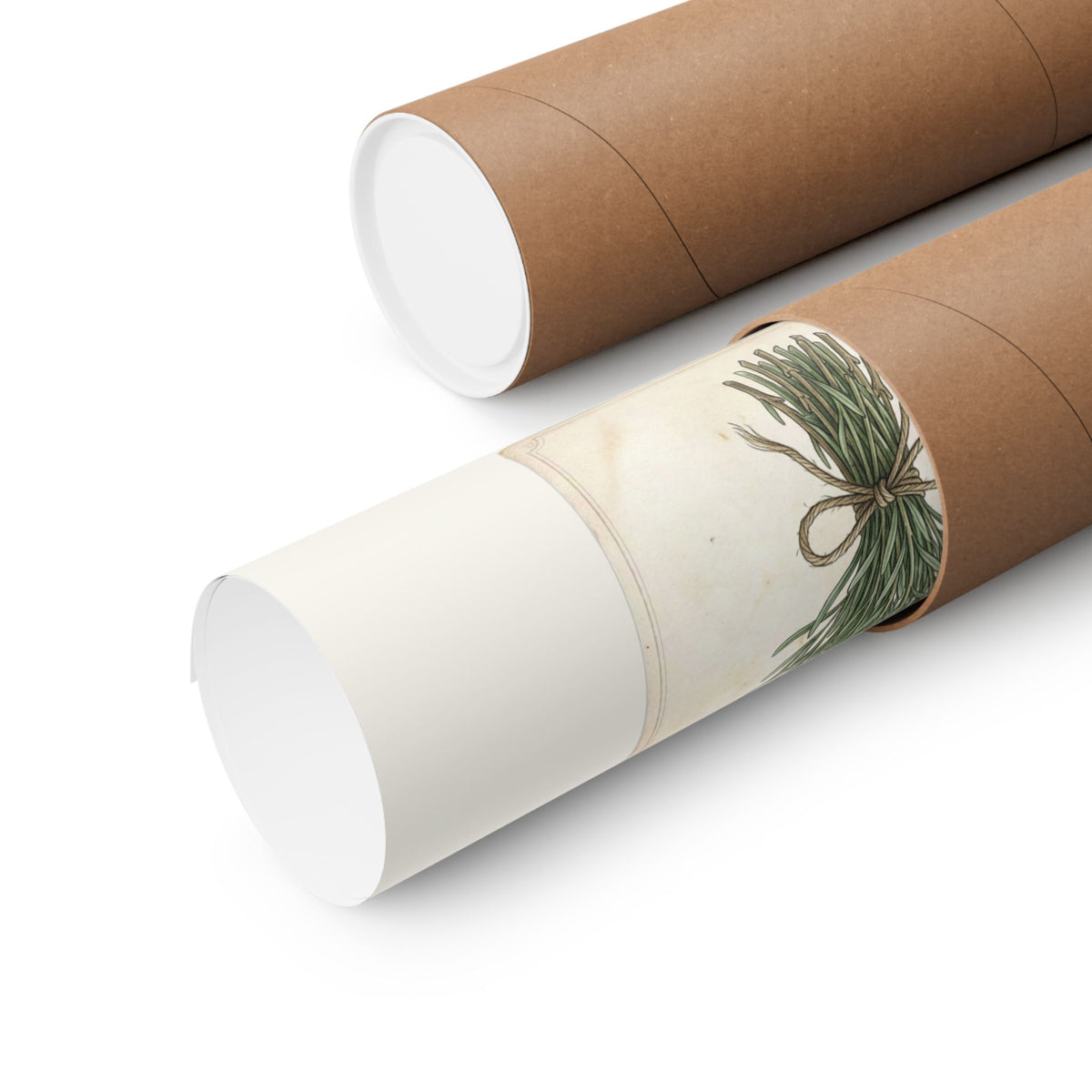 Two brown kraft paper mailing tubes on a white background, with one tube partially opened to show a poster.