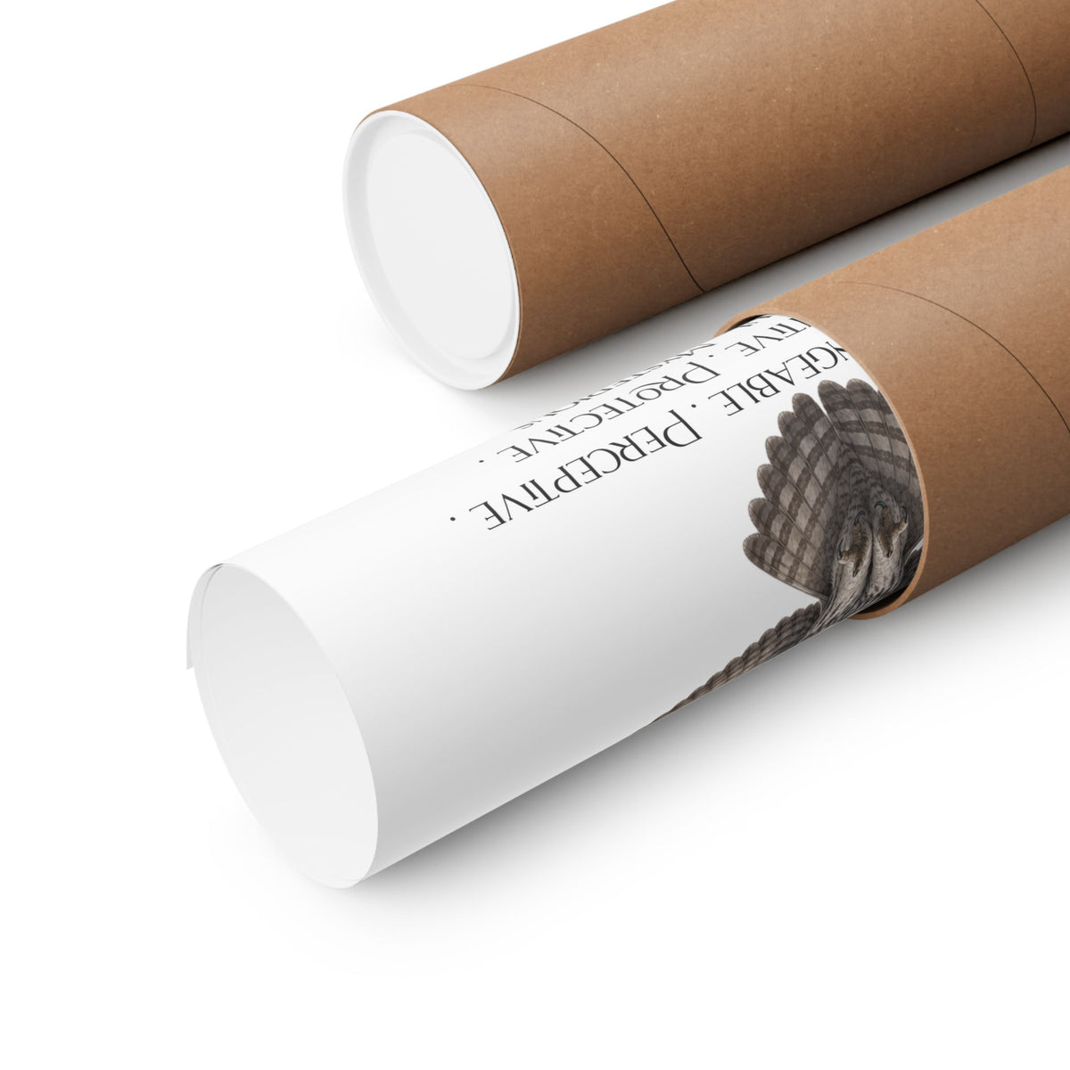 Two brown kraft paper mailer envelopes, one open to show a rolled up poster, on a clean white background.