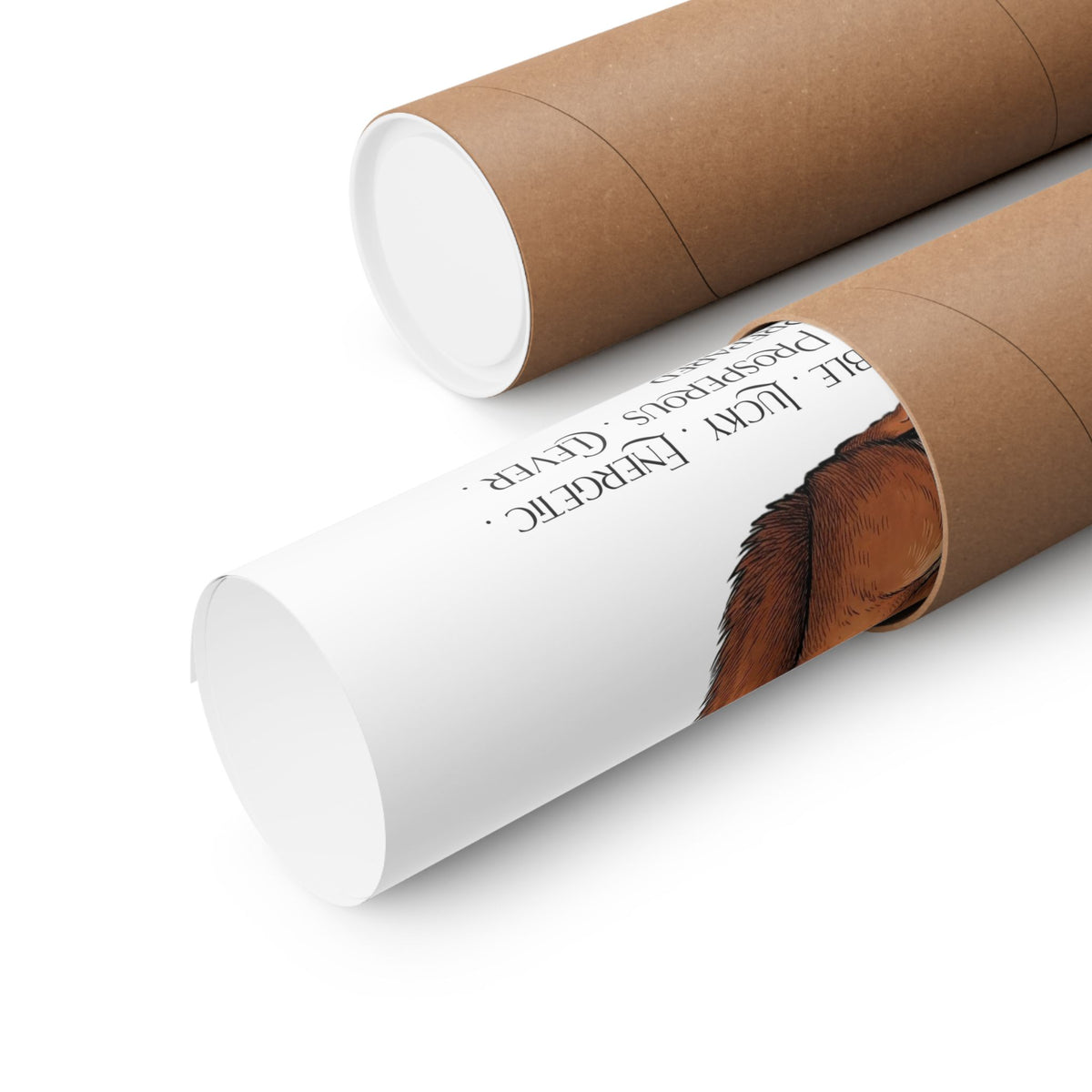 Two brown kraft paper mailer tubes on a white background, one open revealing a rolled up poster.