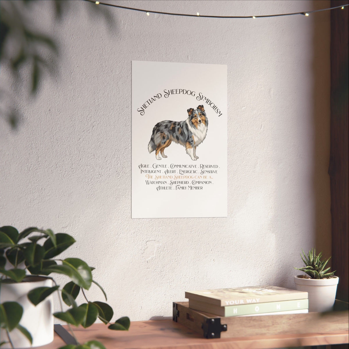 A vertical wall poster featuring an illustration of a merle Sheltie with the text 'Shetland Sheepdog Symbolism' and a list of traits, displayed on a light wall above a wooden shelf with plants.