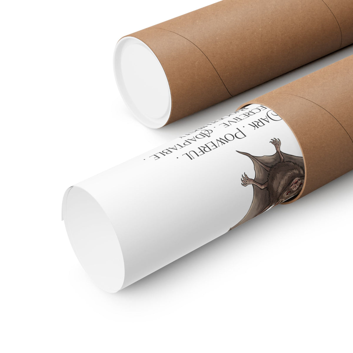 Two brown cardboard mailing tubes, one fully closed and one partially opened to reveal a rolled up poster, set against a clean white background.