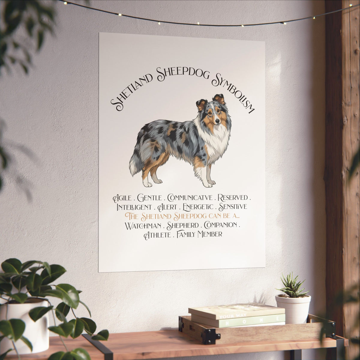 A vertical wall poster featuring an illustration of a merle Sheltie with the text 'Shetland Sheepdog Symbolism' and a list of traits, displayed on a light wall above a wooden shelf with plants.