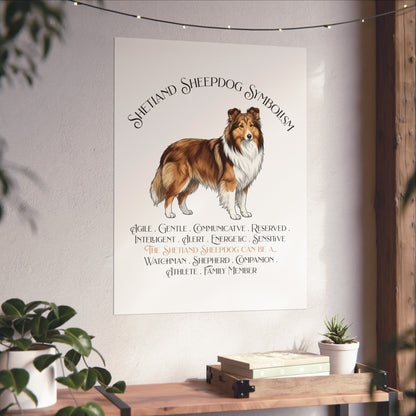 A vertical wall poster featuring an illustration of a Sheltie with the text 'Shetland Shepherd Symbolism' and a list of traits, displayed on a light wall in a styled room with plants and a wooden shelf.