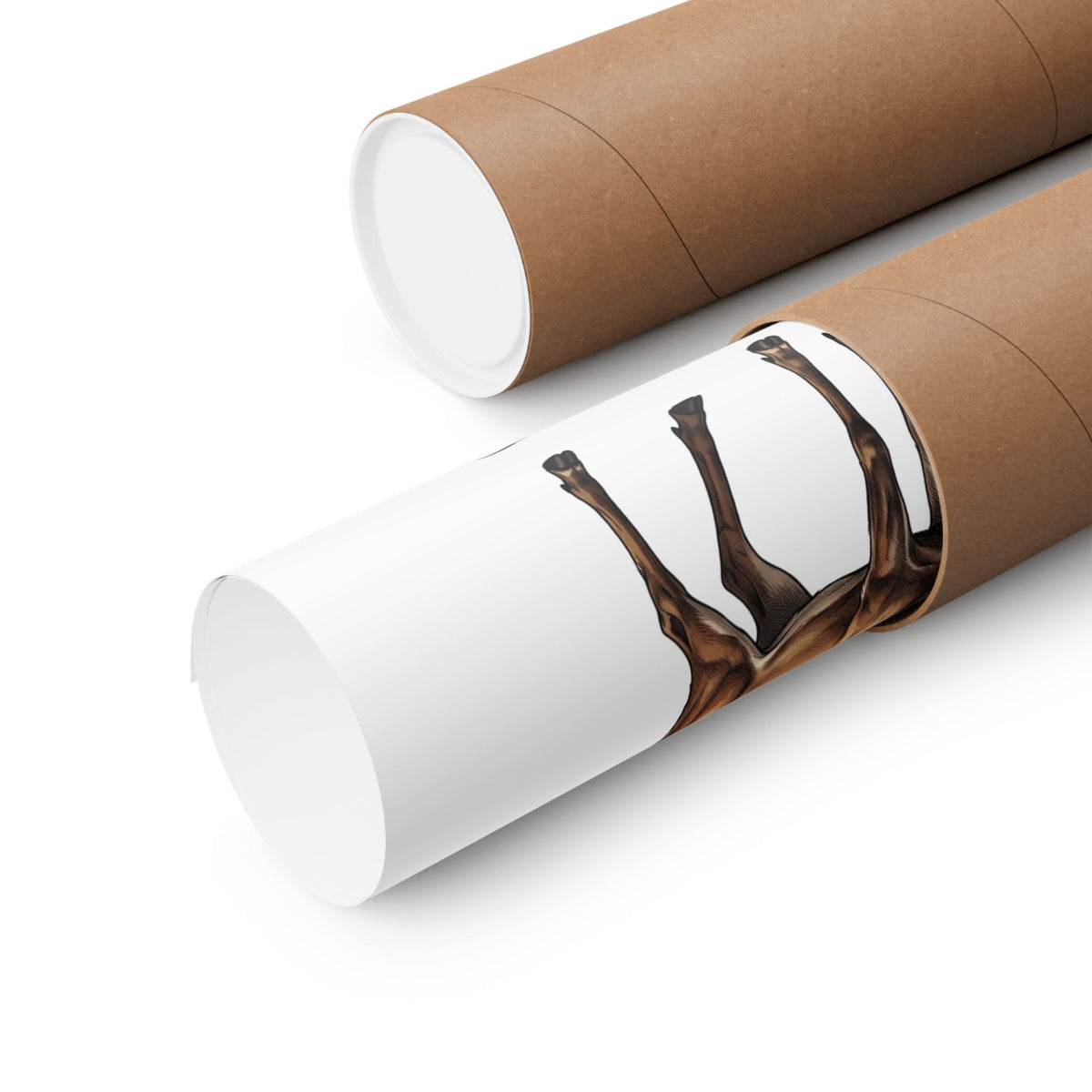 Two brown kraft paper mailing tubes on a clean white background, with one tube partially opened to reveal a rolled up poster featuring a dark brown deer silhouette.