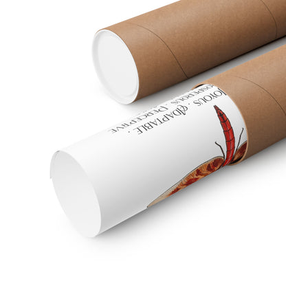 Two brown kraft paper mailing tubes on a white background, with one tube opened to reveal a rolled up poster.