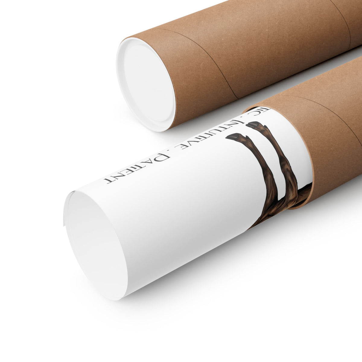 Two brown kraft paper mailing tubes on a clean white background, with one tube partially opened to reveal a rolled up poster.