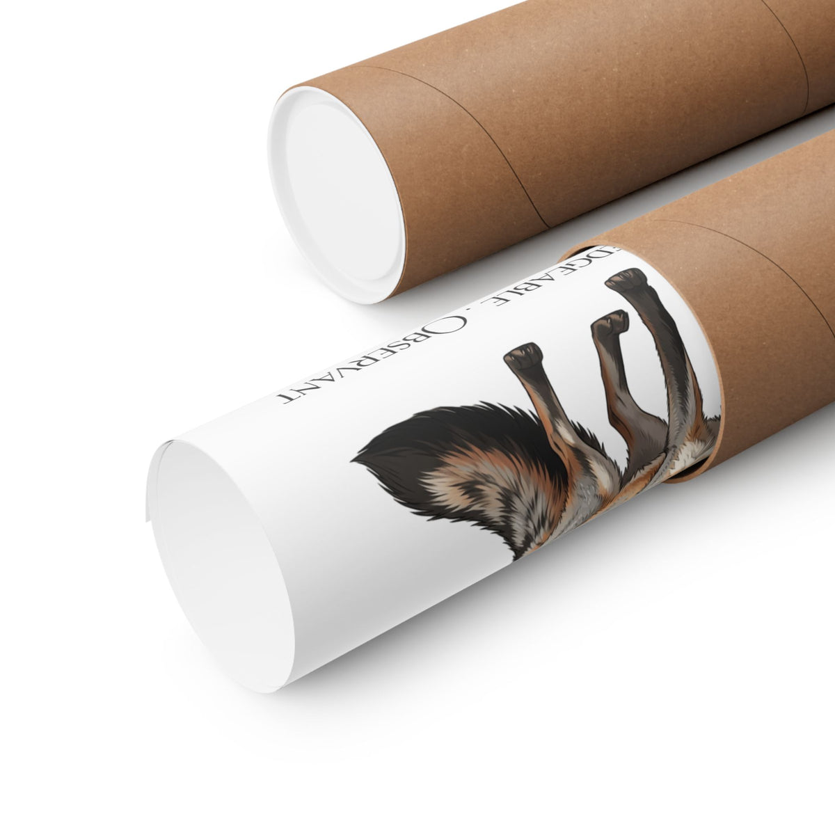 Two brown cardboard poster tubes on a white background, one open to show a rolled up poster