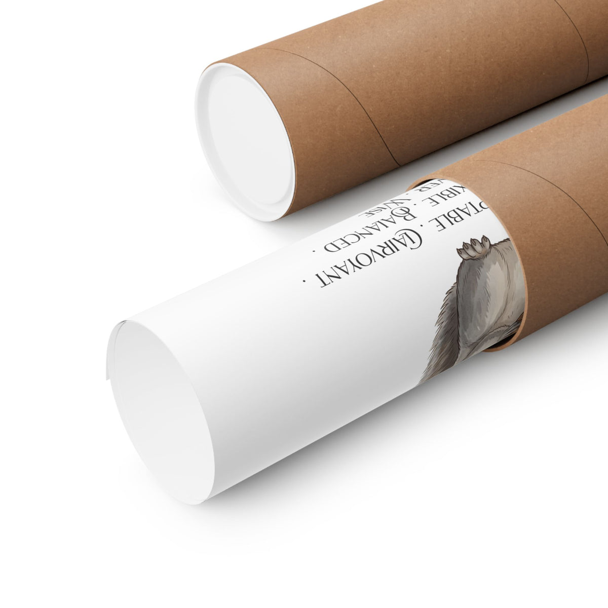 Two brown kraft paper poster tubes on a white background, one opened to reveal a rolled up poster with black text and a gray squirrel illustration.
