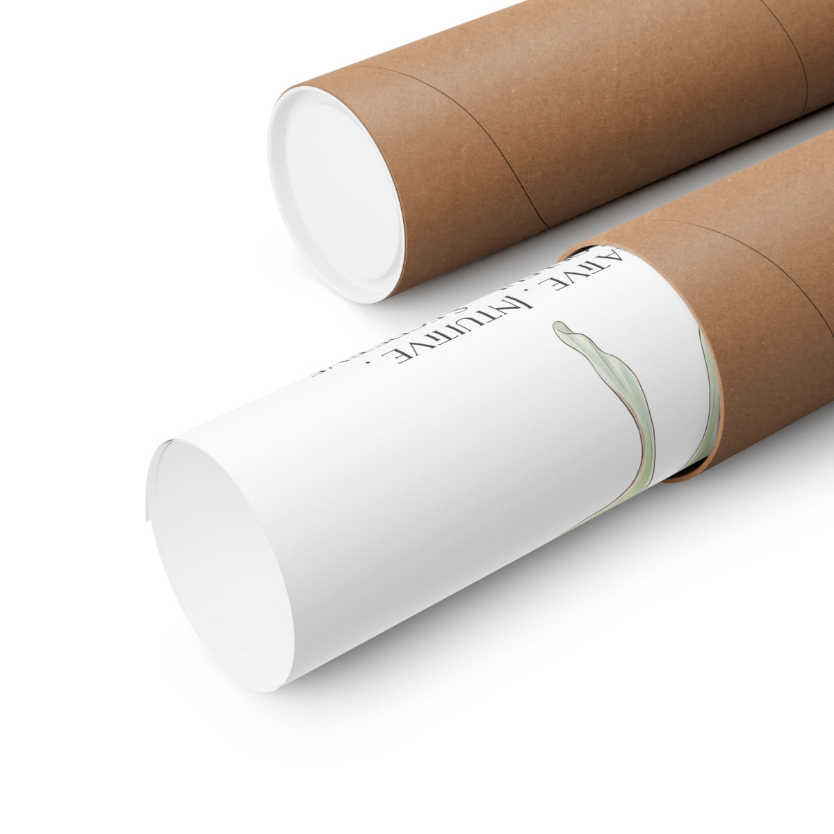 Two cardboard shipping tubes on a white background. One tube is open showing a rolled up poster.