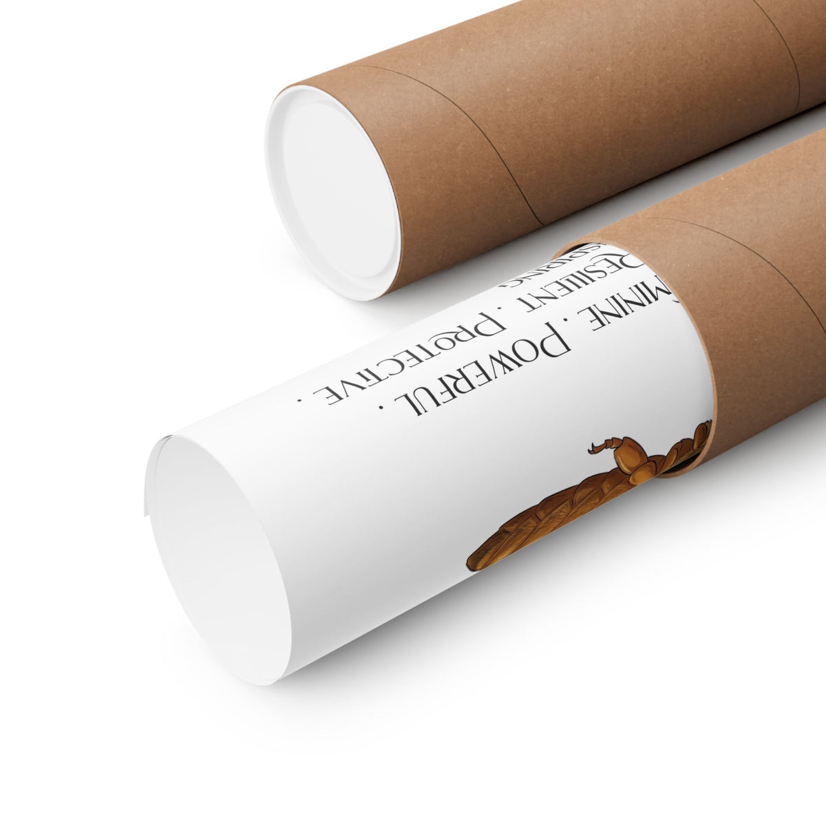 Two brown kraft paper mailing tubes on a clean white background, one is opened to reveal a rolled up poster.