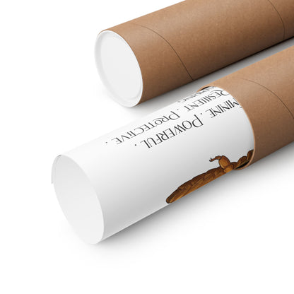 Two brown kraft paper mailing tubes on a clean white background, one is opened to reveal a rolled up poster.