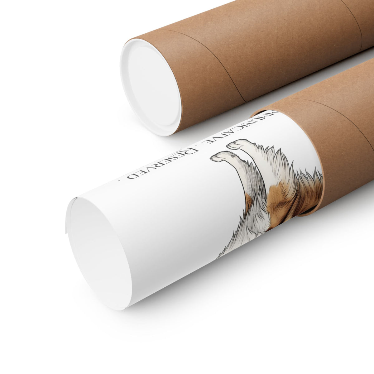 Two rolled brown kraft paper tubes, one open to show a rolled up poster.