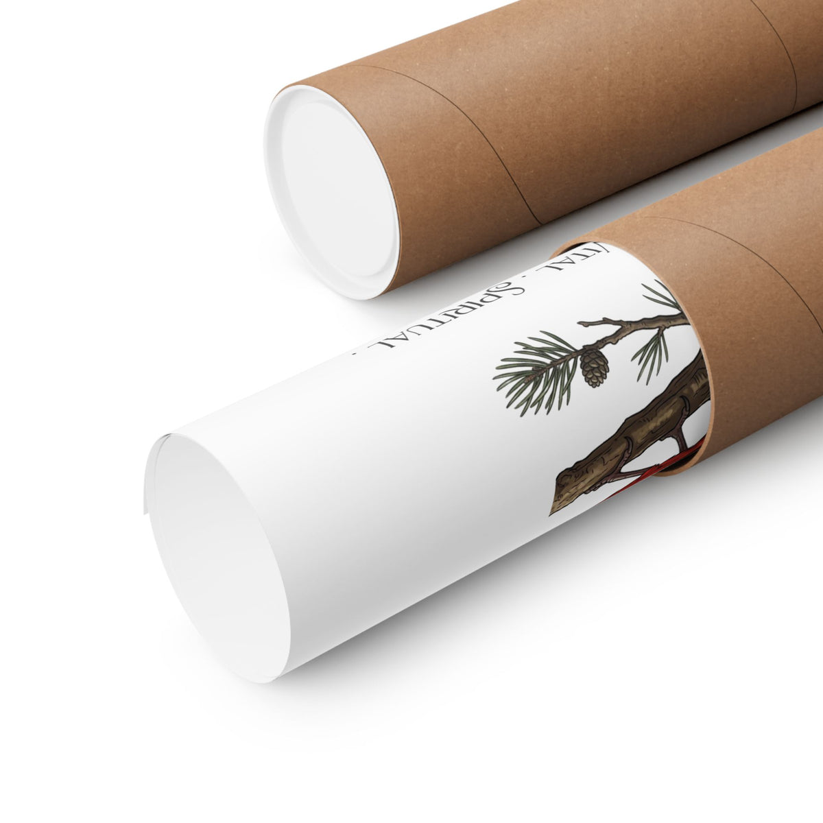 Two brown kraft paper poster tubes on a white background, with one opened to reveal a rolled up poster.