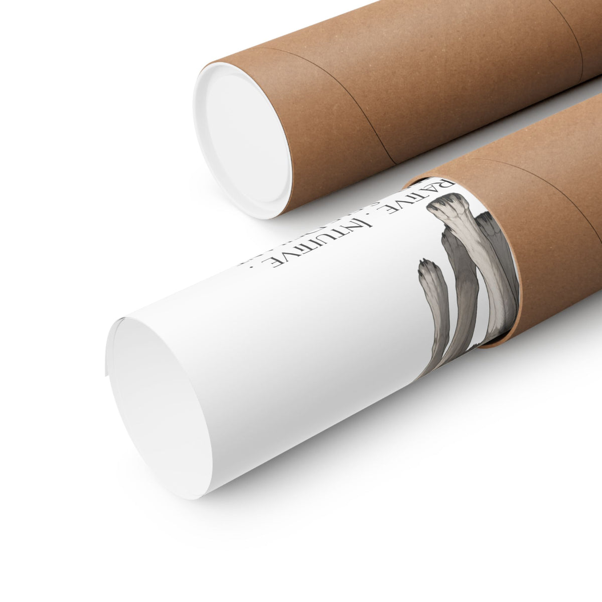Two shipping tubes lay on a white background. One tube is open, showing a rolled up poster.